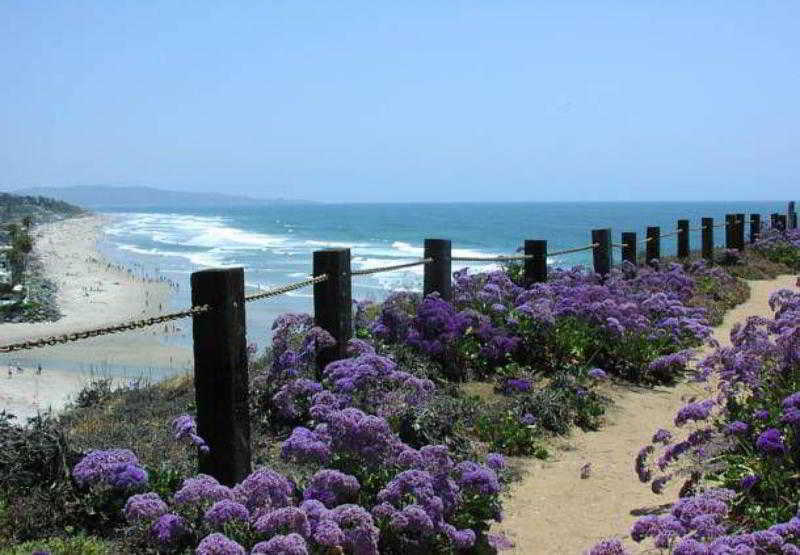 Residence Inn San Diego Del Mar Buitenkant foto